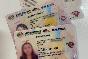 Buy Malaysian driving license with BTC