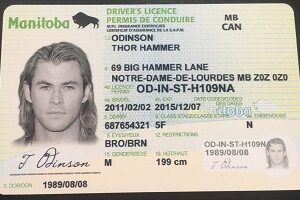Buy fake canadian driving license online