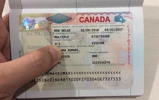 Canada visas for sale
