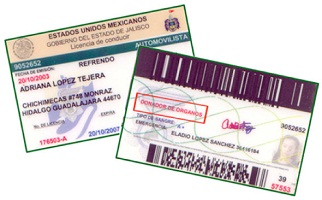 Buy fake Mexico driving license cheap