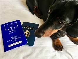 US pet passport for sale in California